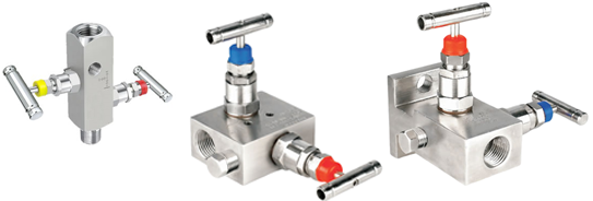 Manifold 2 Way Clock Valve