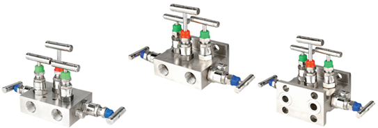 5 Way Manifold Valve