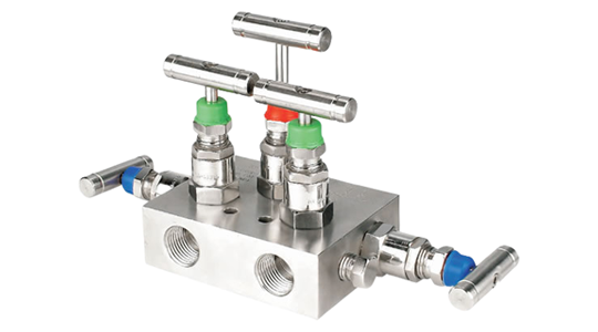 R Type Manifold Valves