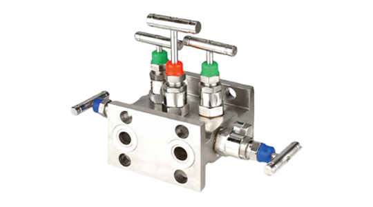 5 Way Manifold Valve