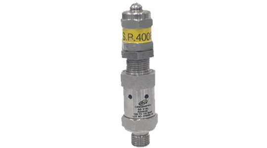  Pressure Relief Safety Valve